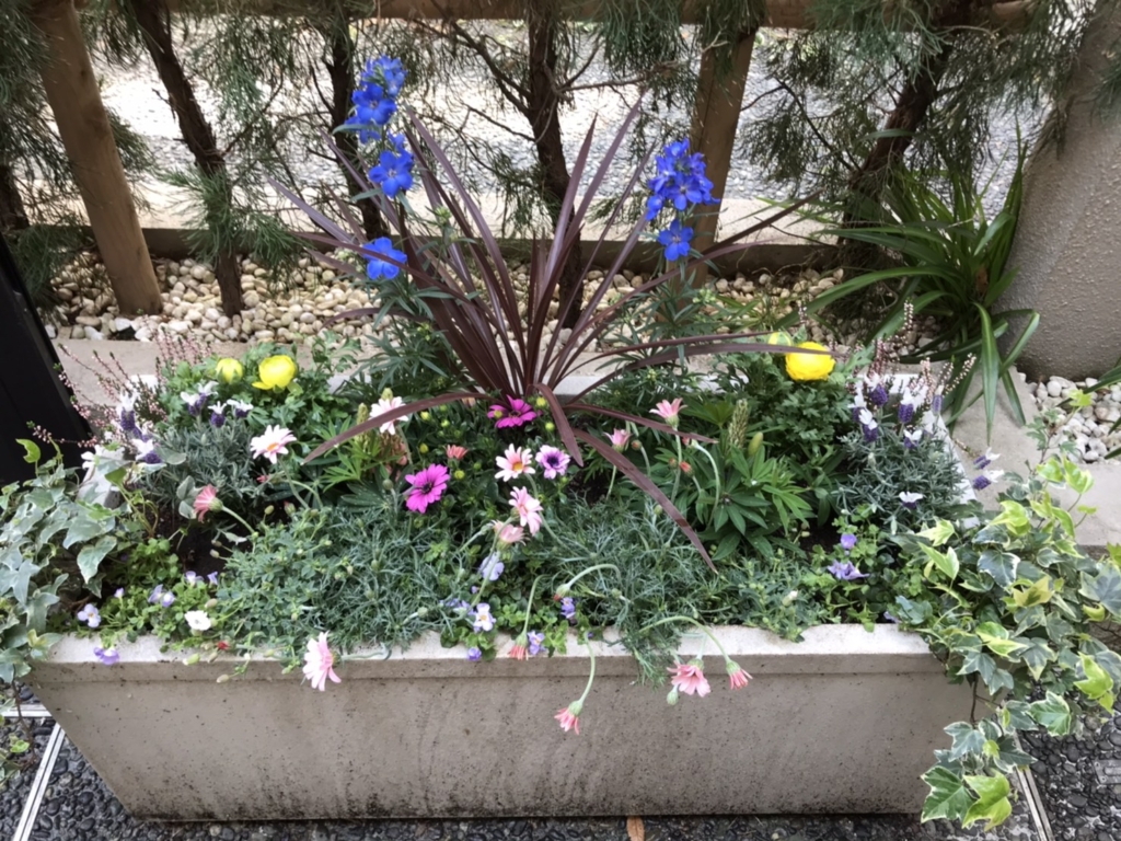 作業報告 花植え 春の寄せ植え ハンギングバスケット Green Basket お花とグリーンのサポートサービス 埼玉 東京