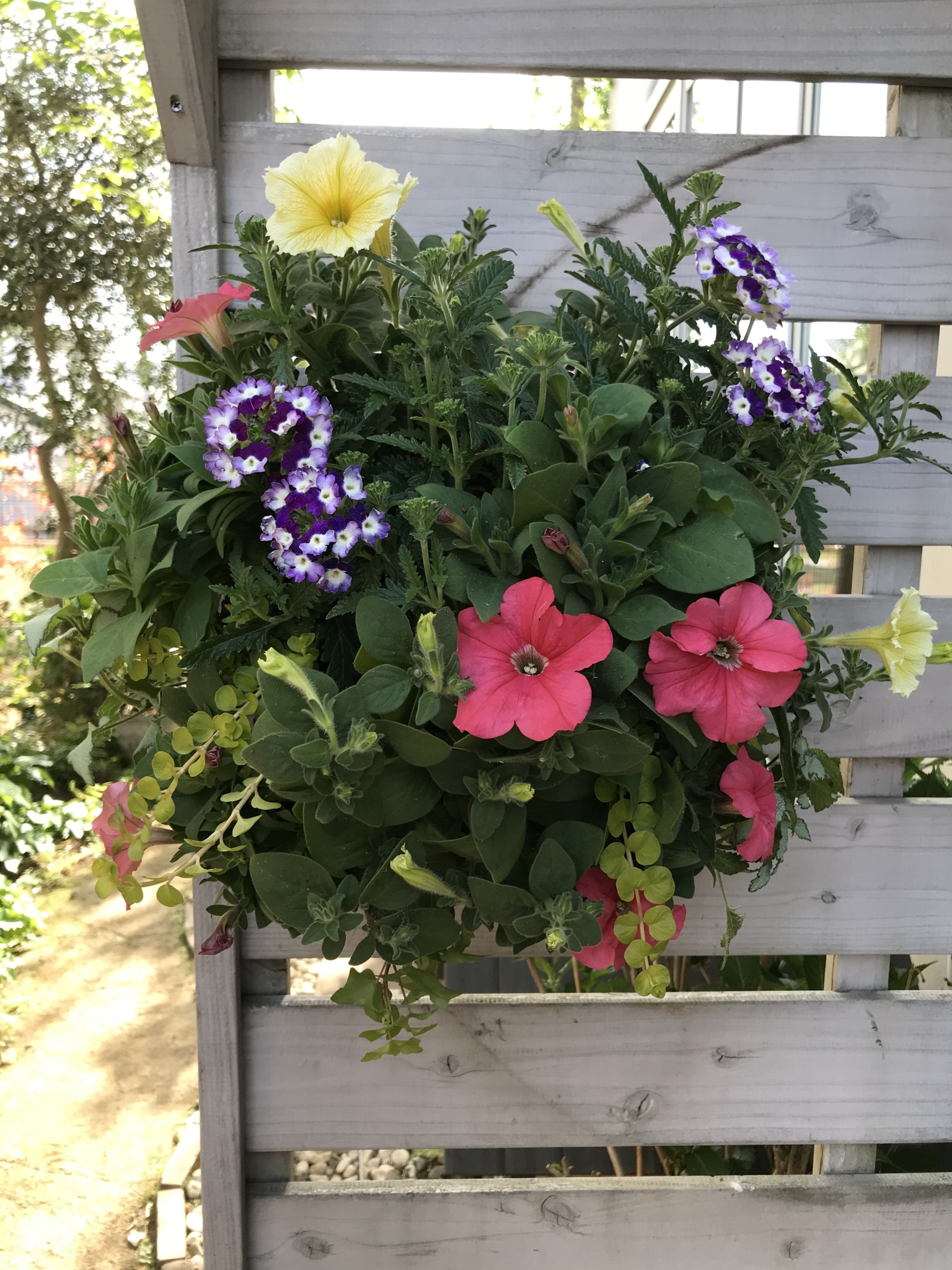 花・観葉植物用ポット ジュートポット 20 KR 2個入り 39031 （代引き不可） p265 花・観葉植物用ポット ジュートポット 20 KR BASKET （2個入り） 39031