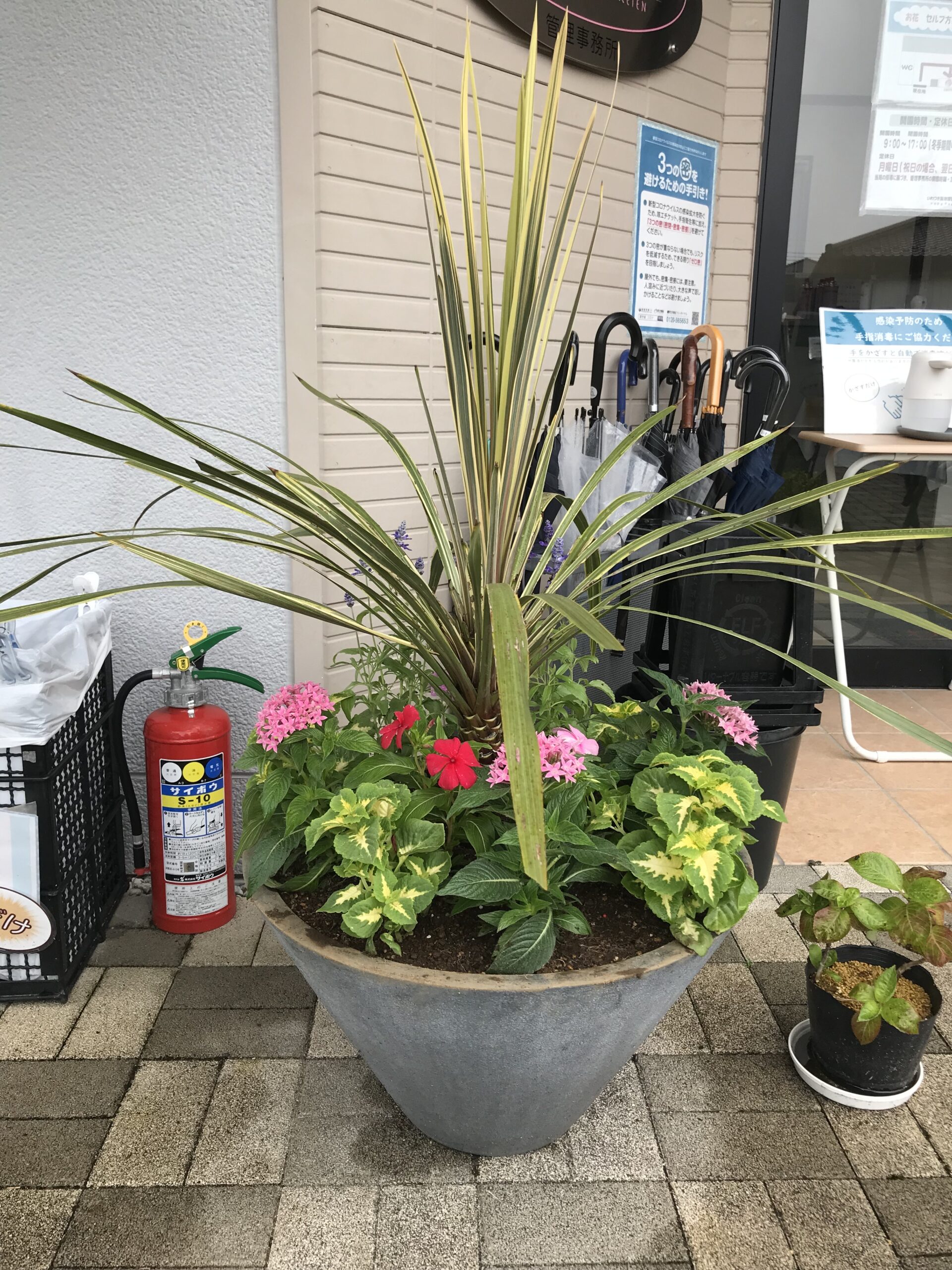 ［作業報告］花植え：霊園の大型プランター寄せ植えと花壇植栽 さいたま市 | GREEN BASKET  グリーンバスケット-お花とグリーンのサポートサービス／埼玉・東京