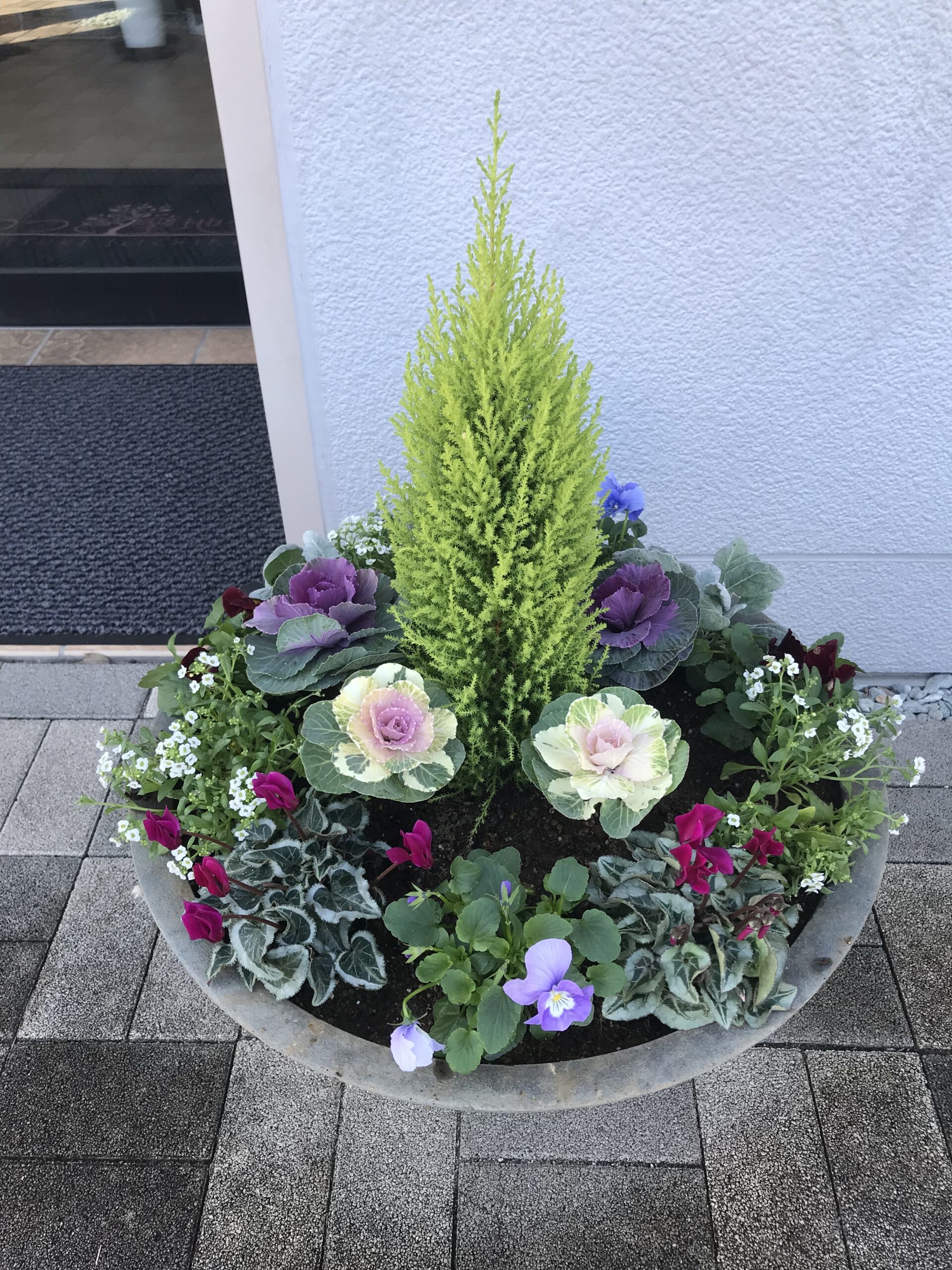 作業報告］花植え：霊園の大型プランター寄せ植えと花壇植栽 さいたま市 | GREEN BASKET  グリーンバスケット-お花とグリーンのサポートサービス／埼玉・東京