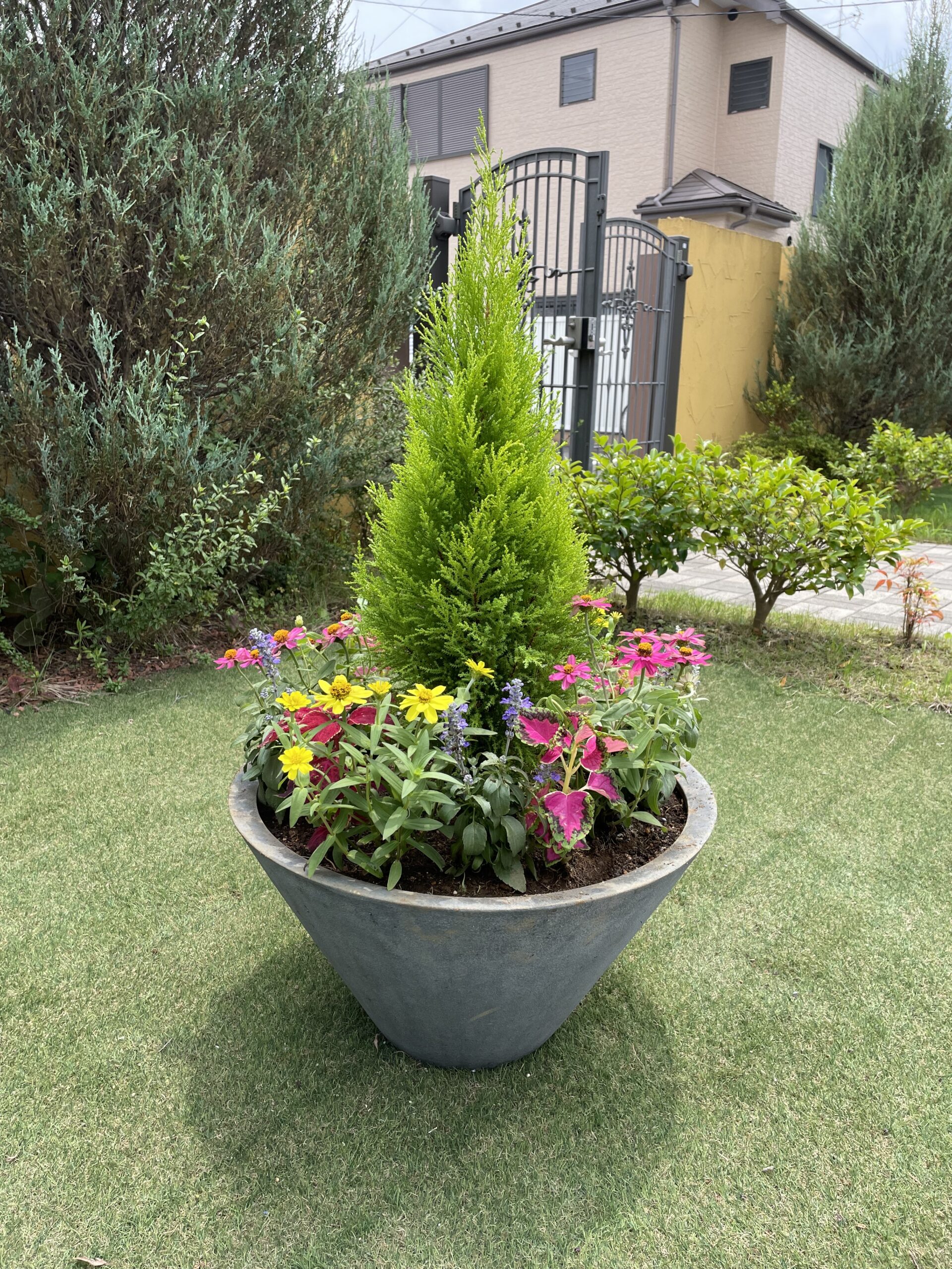 作業報告］花植え：霊園の大型プランター寄せ植えと花壇植栽 さいたま