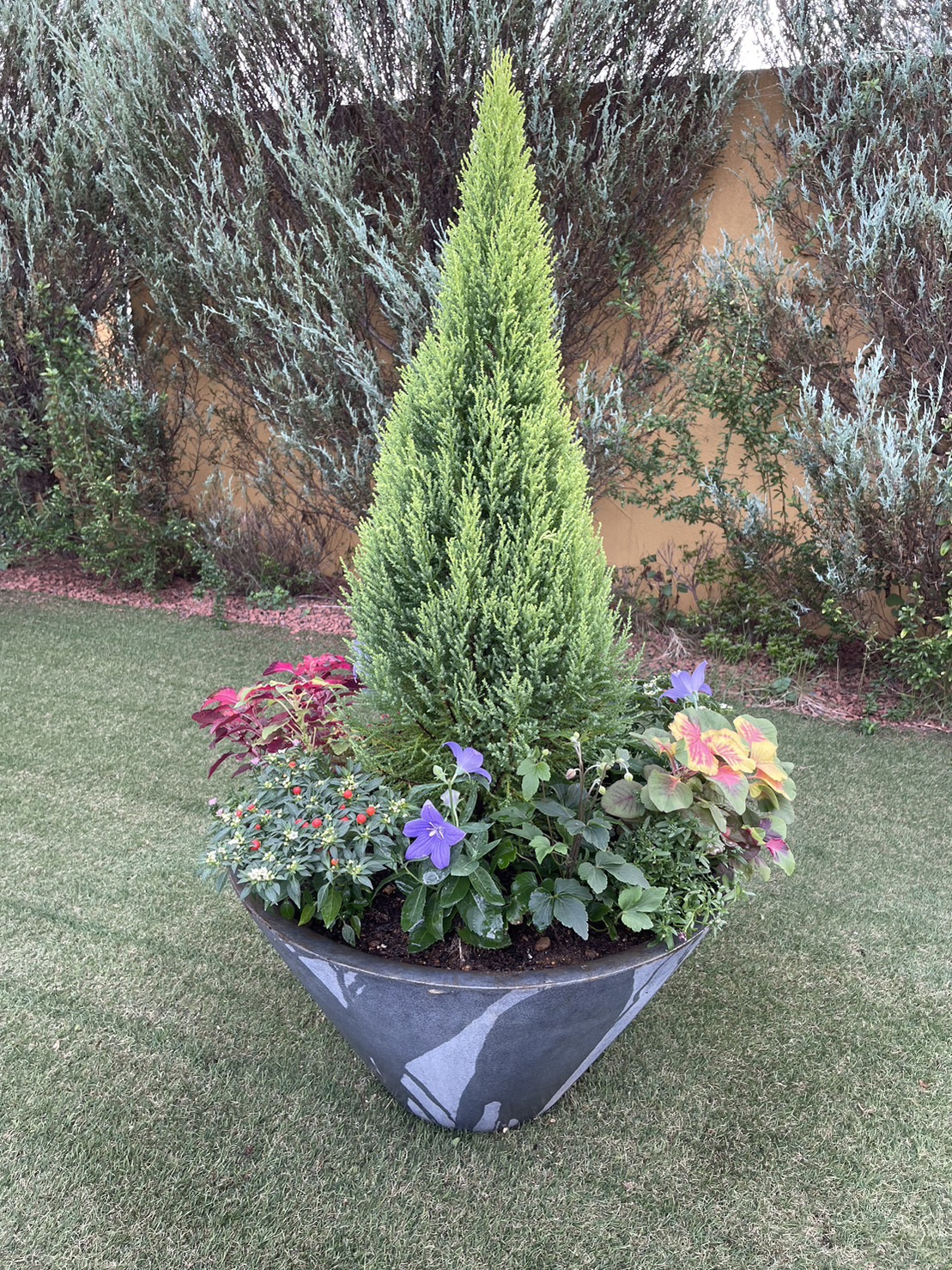 作業報告］花植え：霊園の大型プランター寄せ植えと花壇植栽 さいたま市 | GREEN BASKET  グリーンバスケット-お花とグリーンのサポートサービス／埼玉・東京