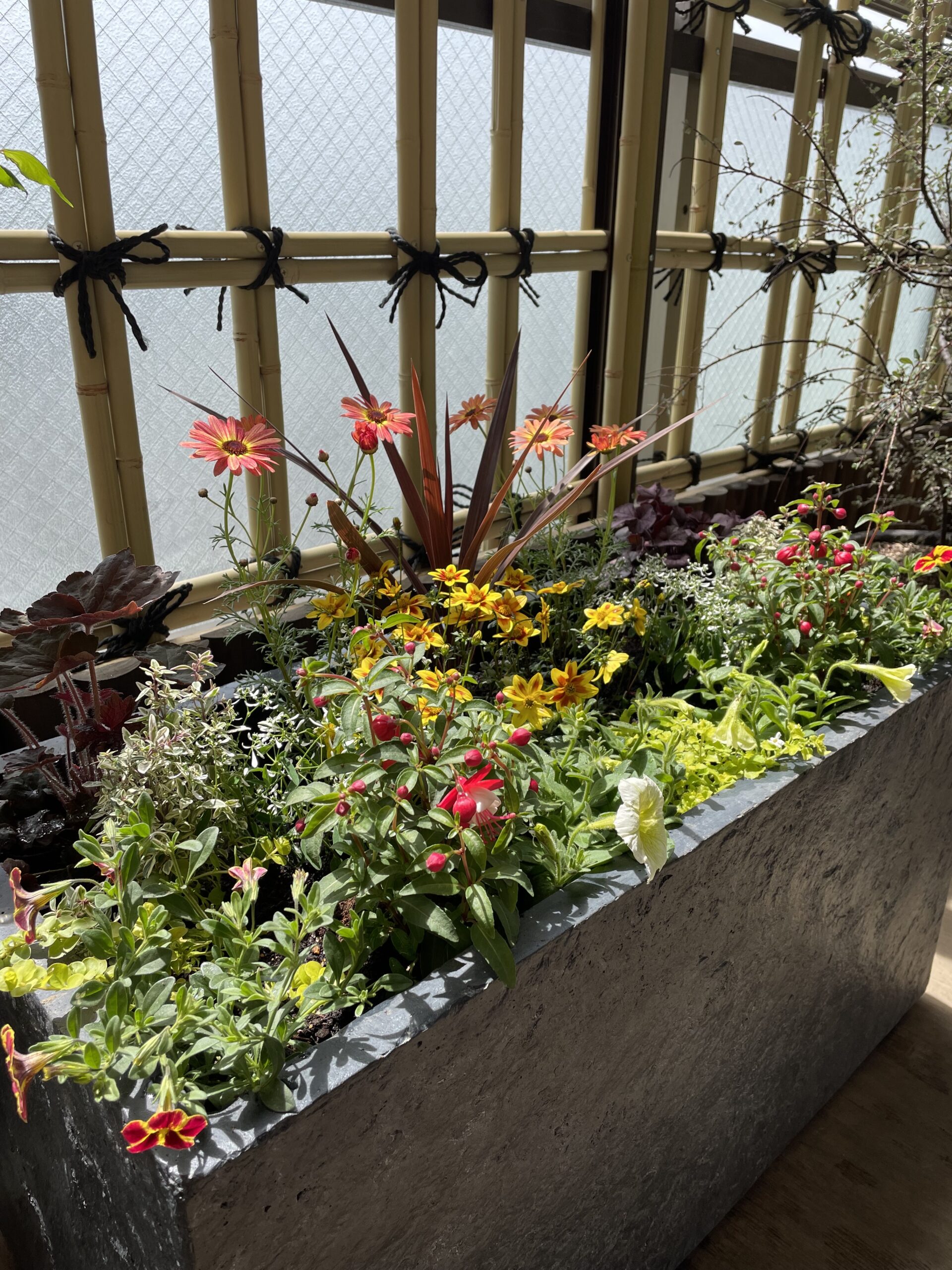 作業報告］花植え：大型プランター寄せ植え 世田谷区 | GREEN BASKET